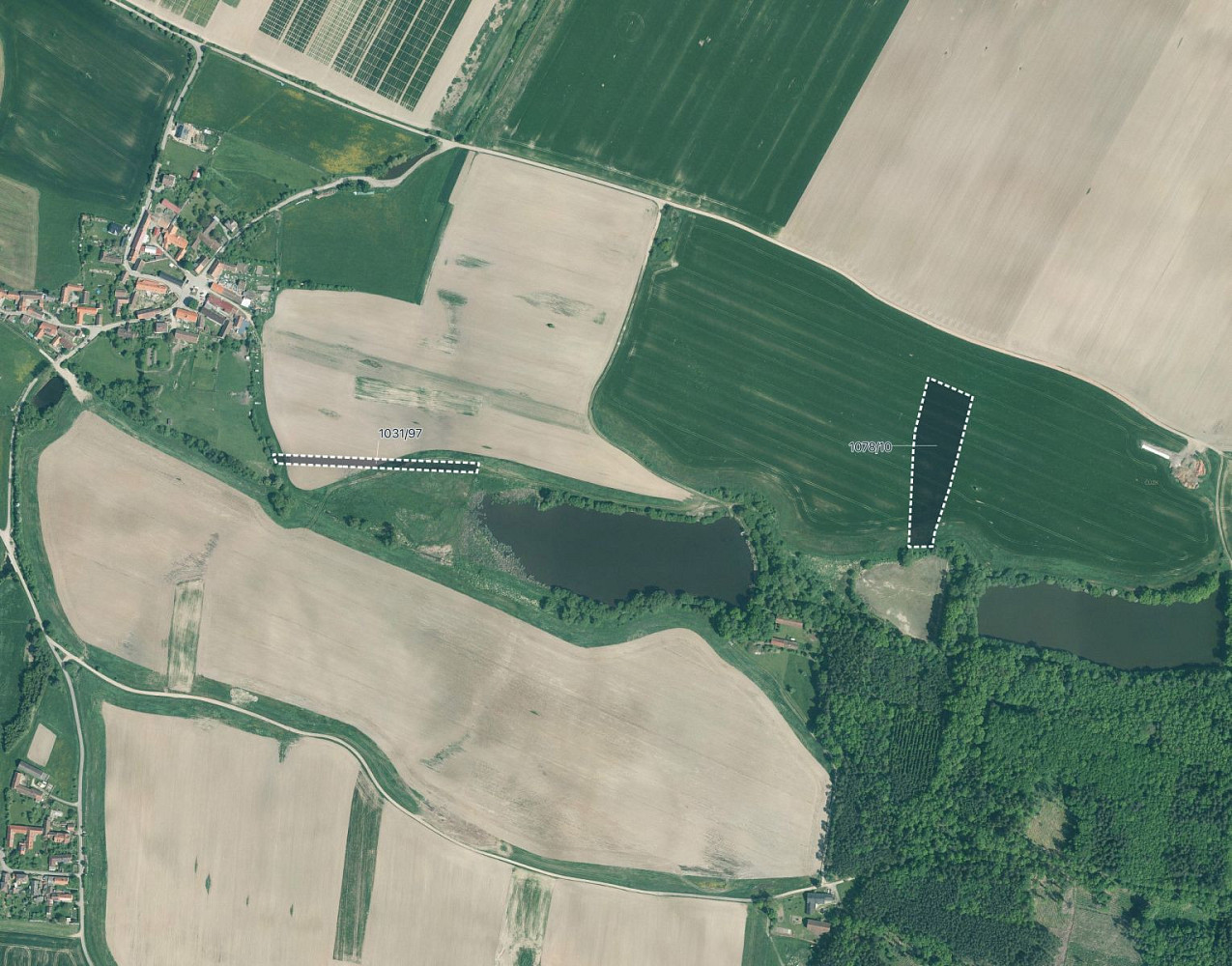 Prodej pole 21 656 m²