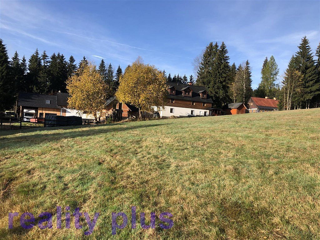 Prodej louky 6 951 m² – fotografie 4
