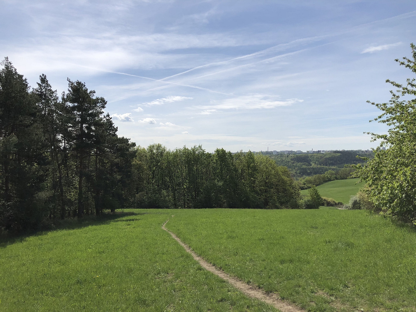 Prodej louky 24 023 m²