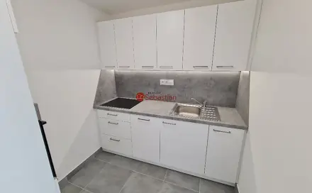 Pronájem bytu 2+1 37 m², Antonína Sochora, Teplice - Trnovany