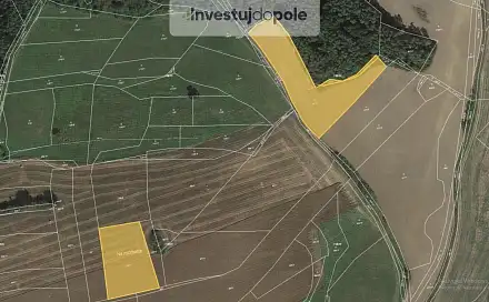 Prodej louky 5 786 m², Radnice, okres Rokycany