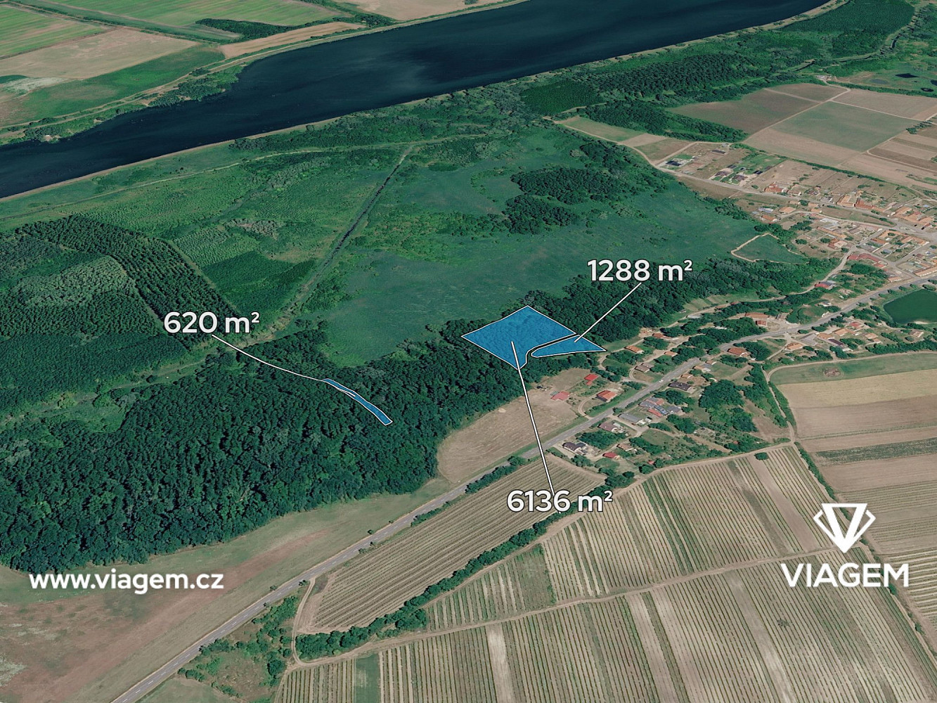 Prodej lesa 3 867 m² – fotografie 3