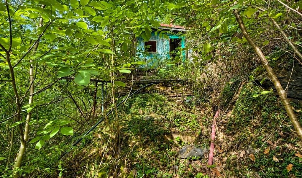 Prodej chaty/chalupy 32 m² s pozemkem 1 313 m², Zdiby – náhled fotky 4