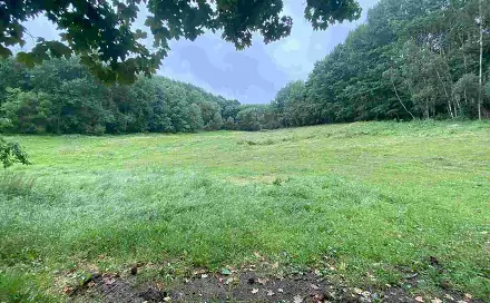 Prodej pole 11 289 m², Úterý - Vidžín, okres Plzeň-sever