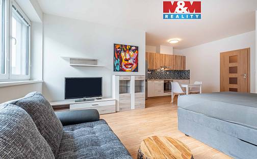 Pronájem bytu 1+kk 45 m², Dílenská, Plzeň - Doubravka
