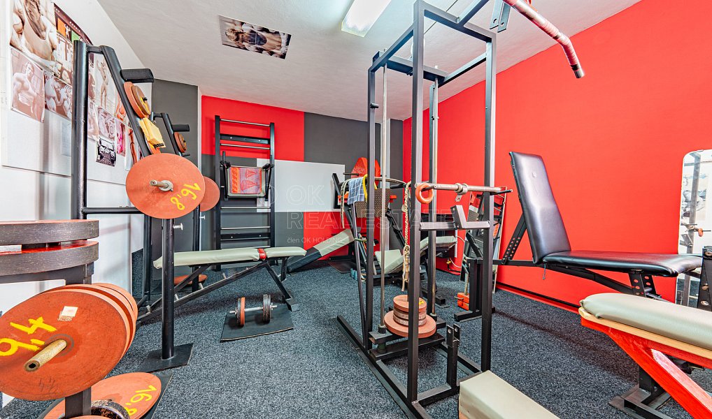 Prodej domu 138 m² s pozemkem 1 138 m², Svojšice – náhled fotky 29