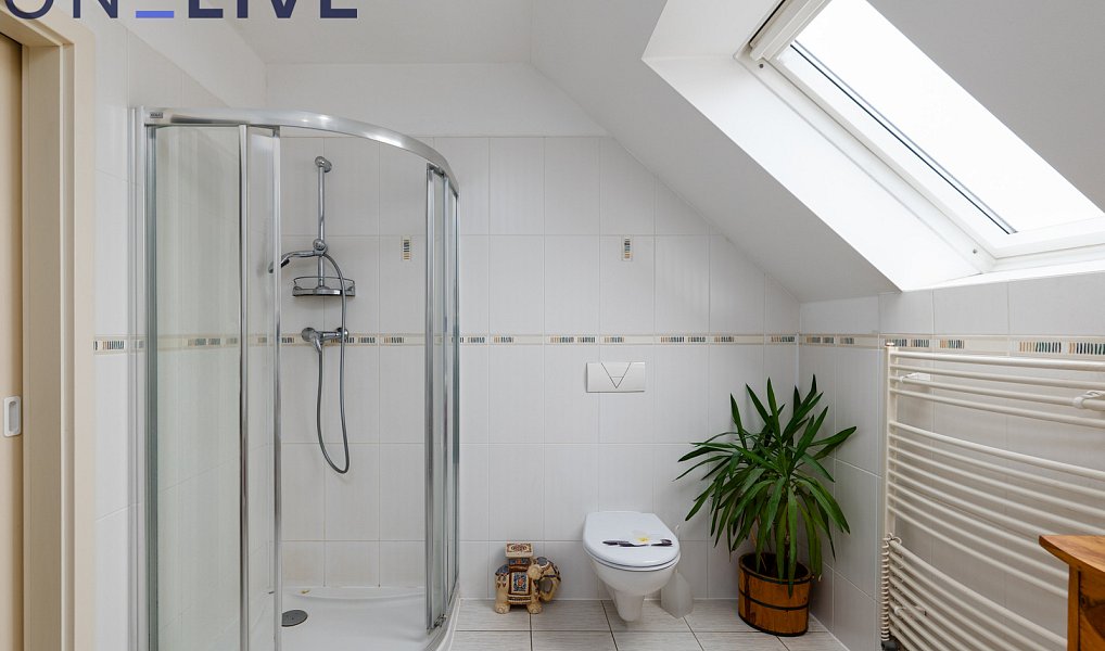 Prodej ubytovacího objektu 480 m², Starý Plzenec – náhled fotky 24