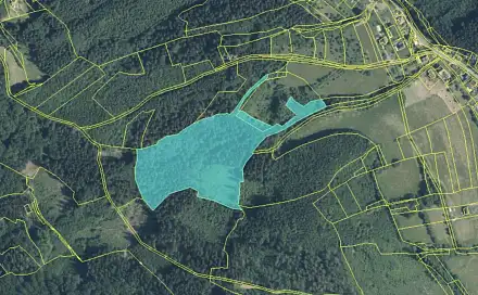 Prodej lesa 38 165 m², Rokytnice, Vsetín - Rokytnice