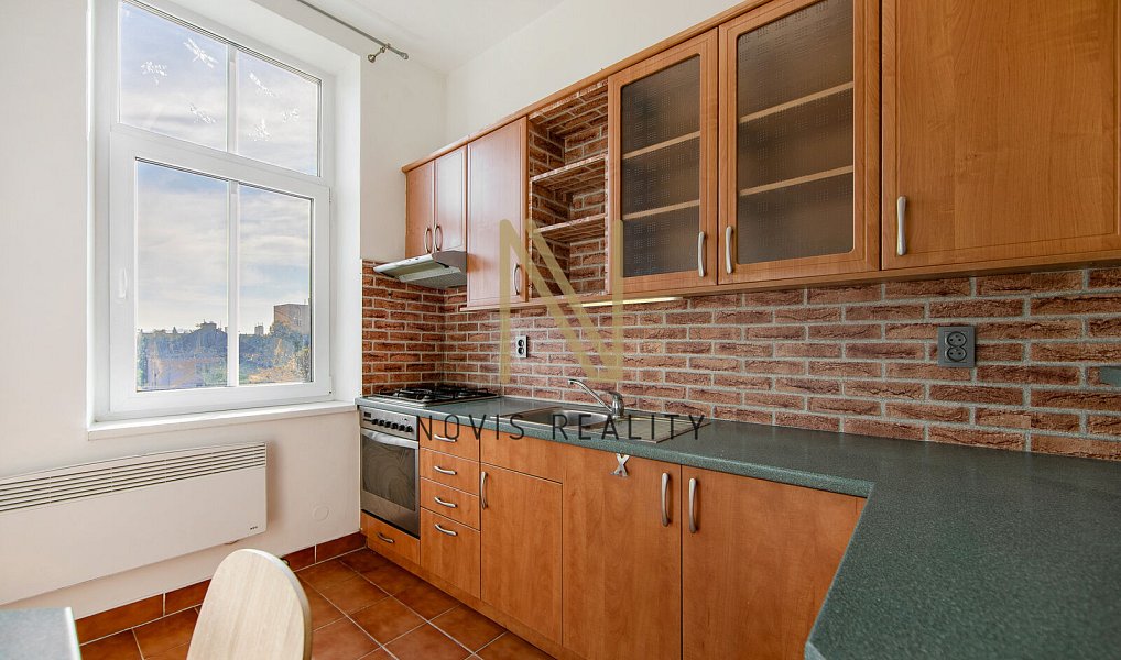 Pronájem bytu 1+1 43 m², Plzeň – náhled fotky 6
