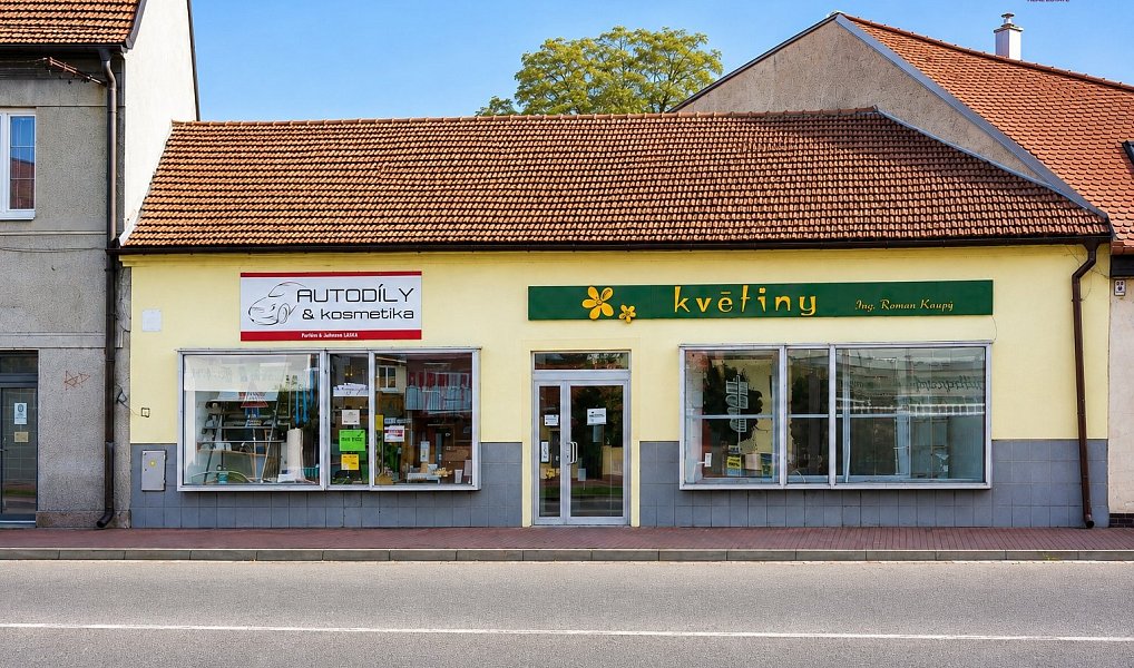 Pronájem obchodních prostor 94 m², Veselí nad Moravou – náhled fotky 3