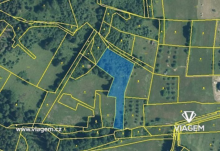 Prodej pole 3 166 m² – fotografie 3