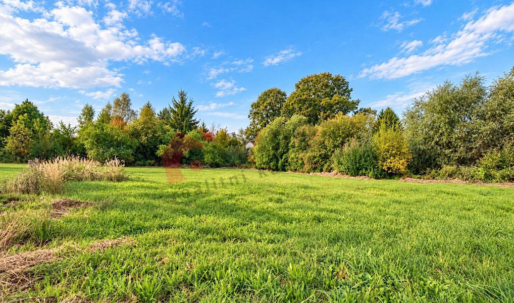 Prodej stavebního pozemku 1 694 m², Stružinec – náhled fotky 4