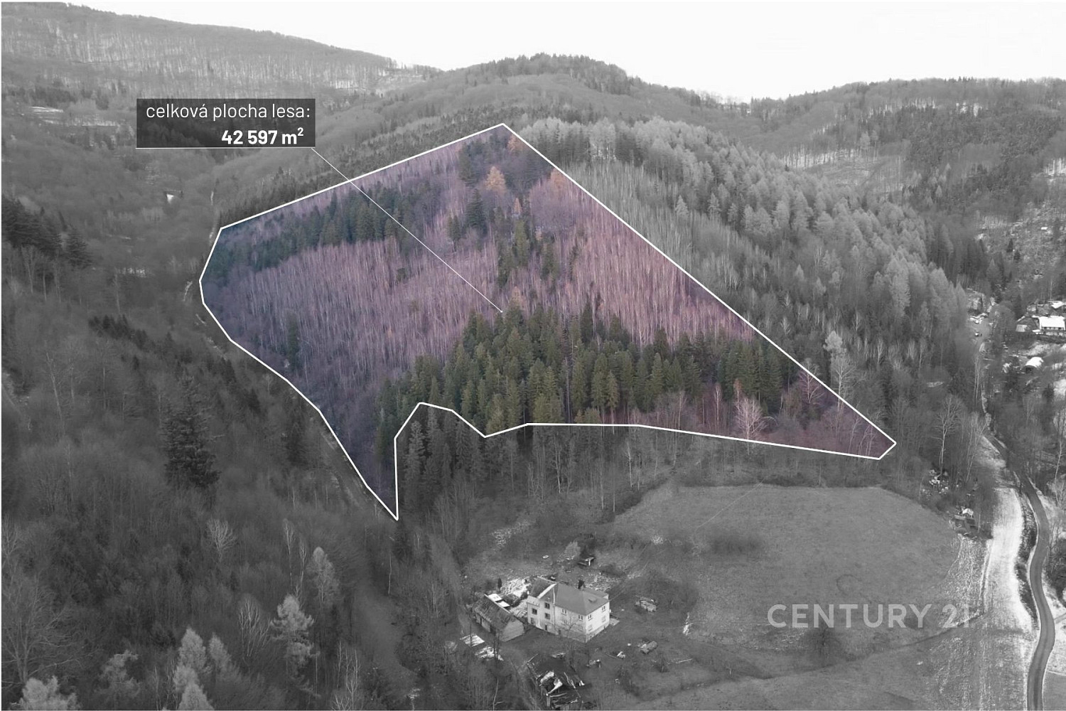 Prodej lesa 42 597 m²