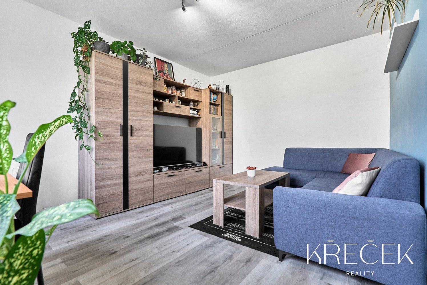 Pronájem bytu 2+1 50 m² — photo 4