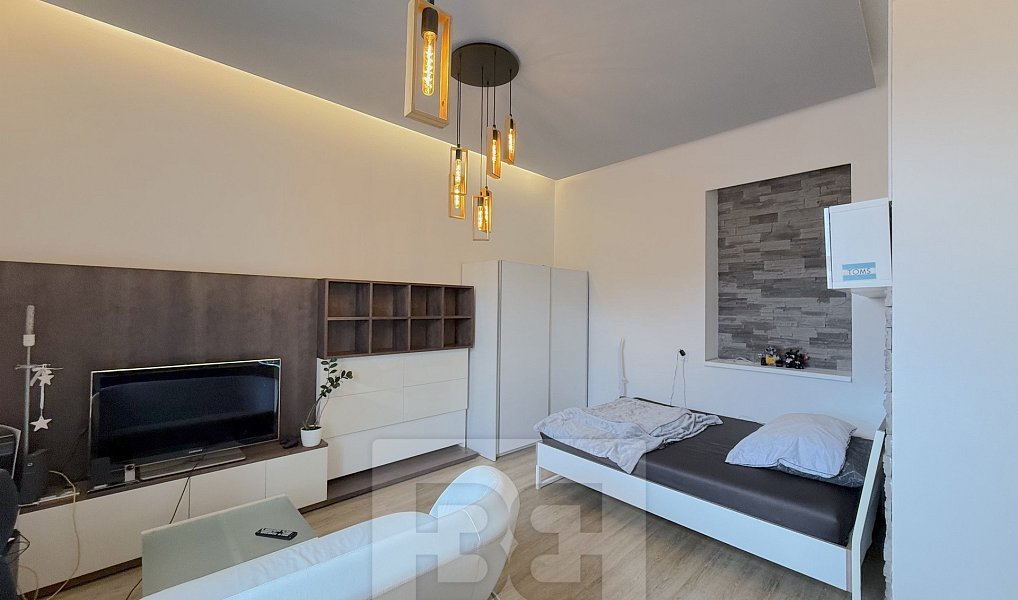 Pronájem bytu 1+1 40 m², Praha – náhled fotky 4