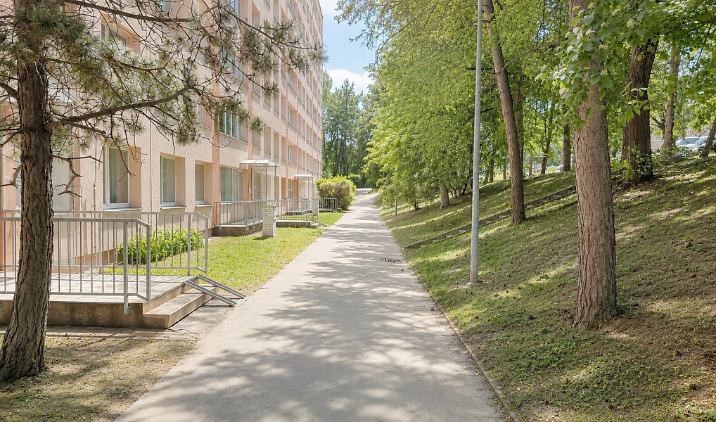 Prodej bytu 3+kk 67 m², Praha – náhled fotky 14