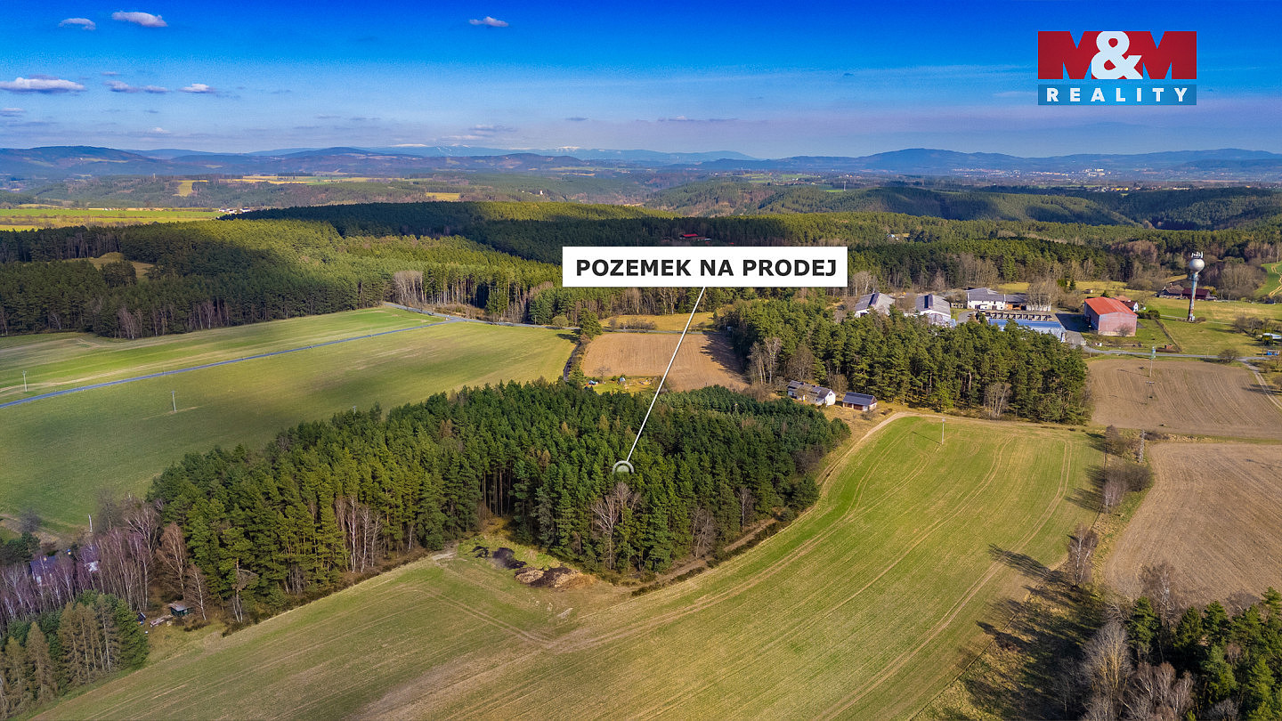Fotka 10 z 12