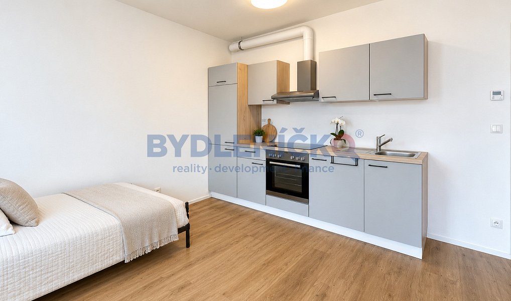 Prodej bytu 1+kk 38 m², České Budějovice – fotka 1 z 8