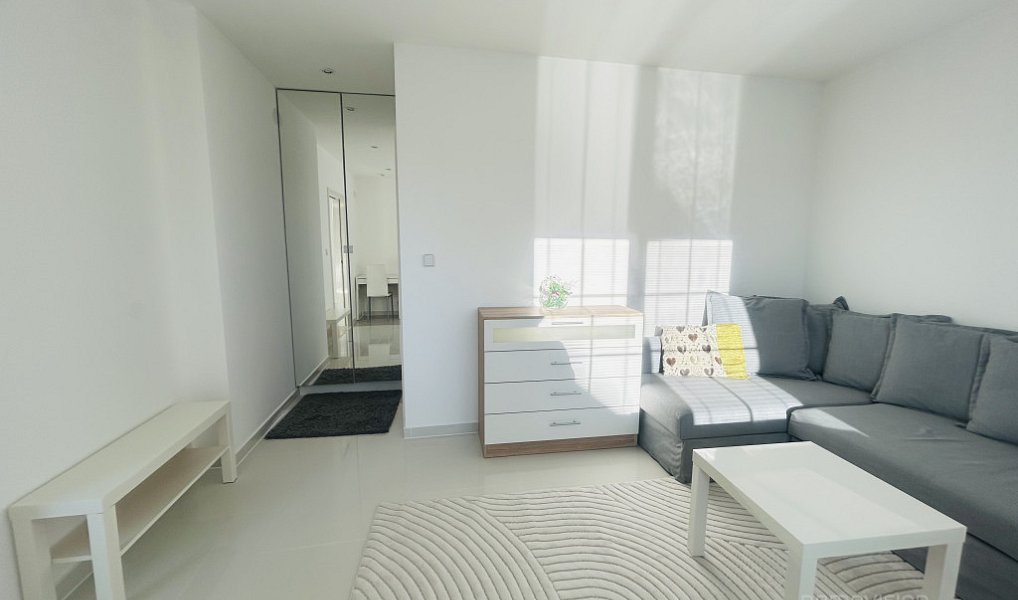 Pronájem bytu 1+1 40 m², Veselí nad Moravou – náhled fotky 4