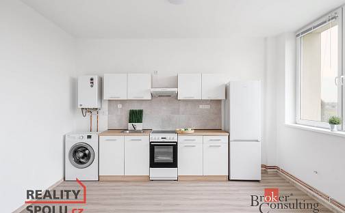 Pronájem bytu 1+kk 47 m², Mlékojedy, okres Litoměřice