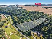 Prodej lesa 5�004�m2