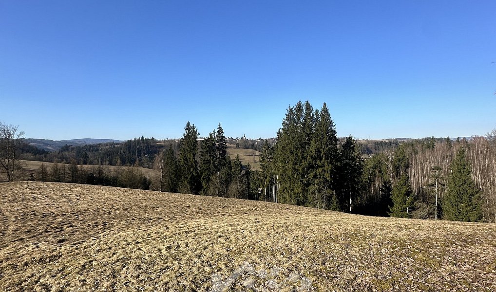 Prodej louky 14 441 m², Bozkov – náhled fotky 4