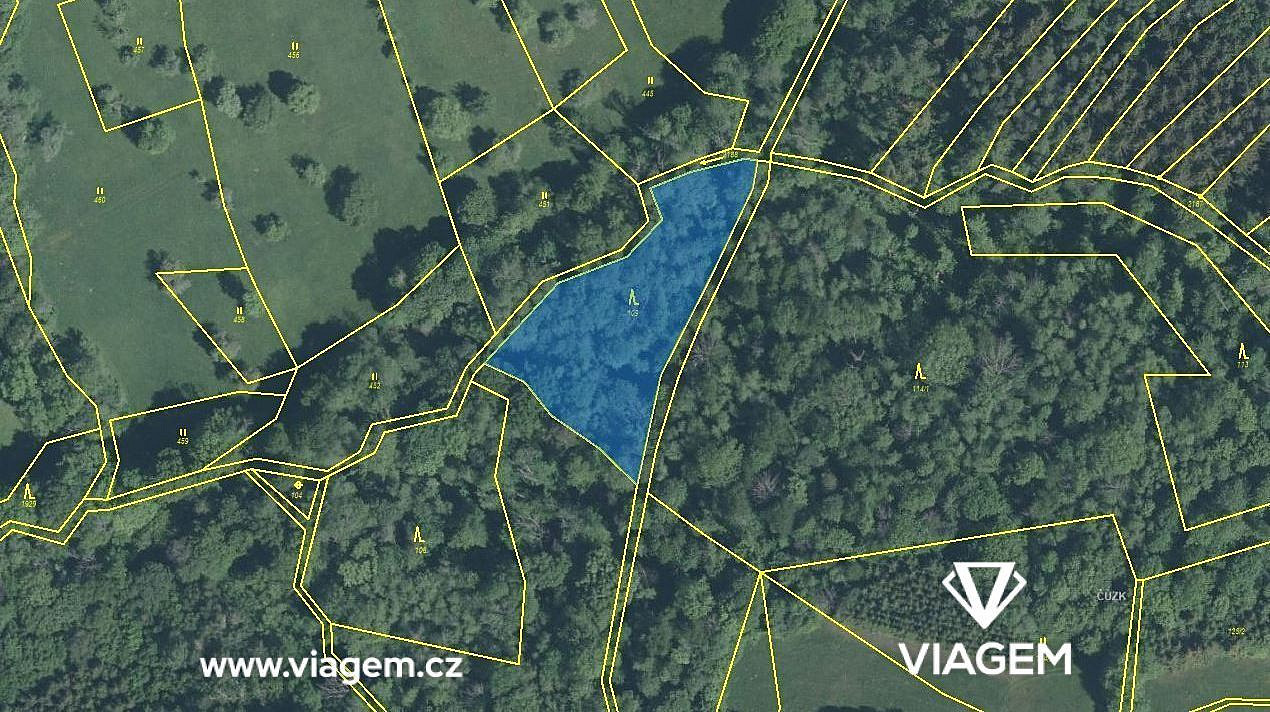 Prodej lesa 2 043 m² – fotografie 4