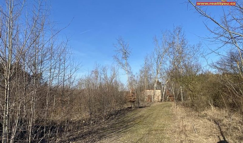 Prodej komerčního pozemku 16 182 m², Stará Voda – náhled fotky 9