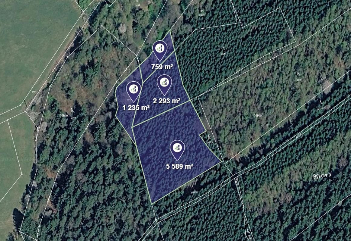 Prodej lesa 3 292 m²