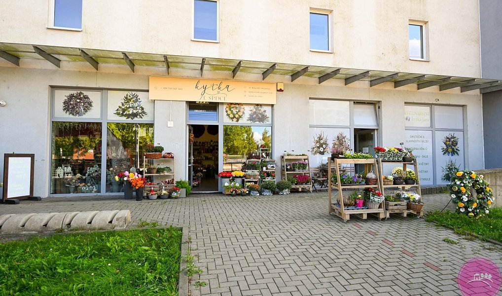 Prodej komerčního prostoru, 140 m², Neředín, Olomouc