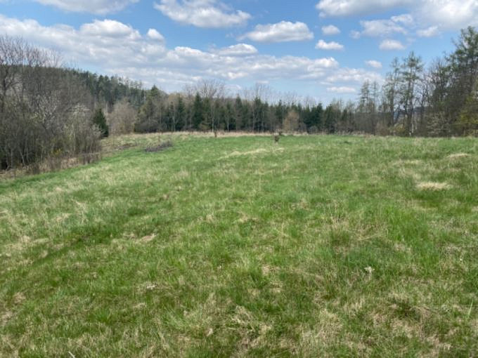Prodej stavebního pozemku 7 630 m² – fotografie 2