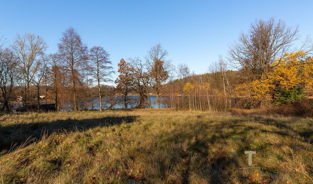 Prodej stavebního pozemku 133 994 m², Vrchotovy Janovice – náhled fotky 6