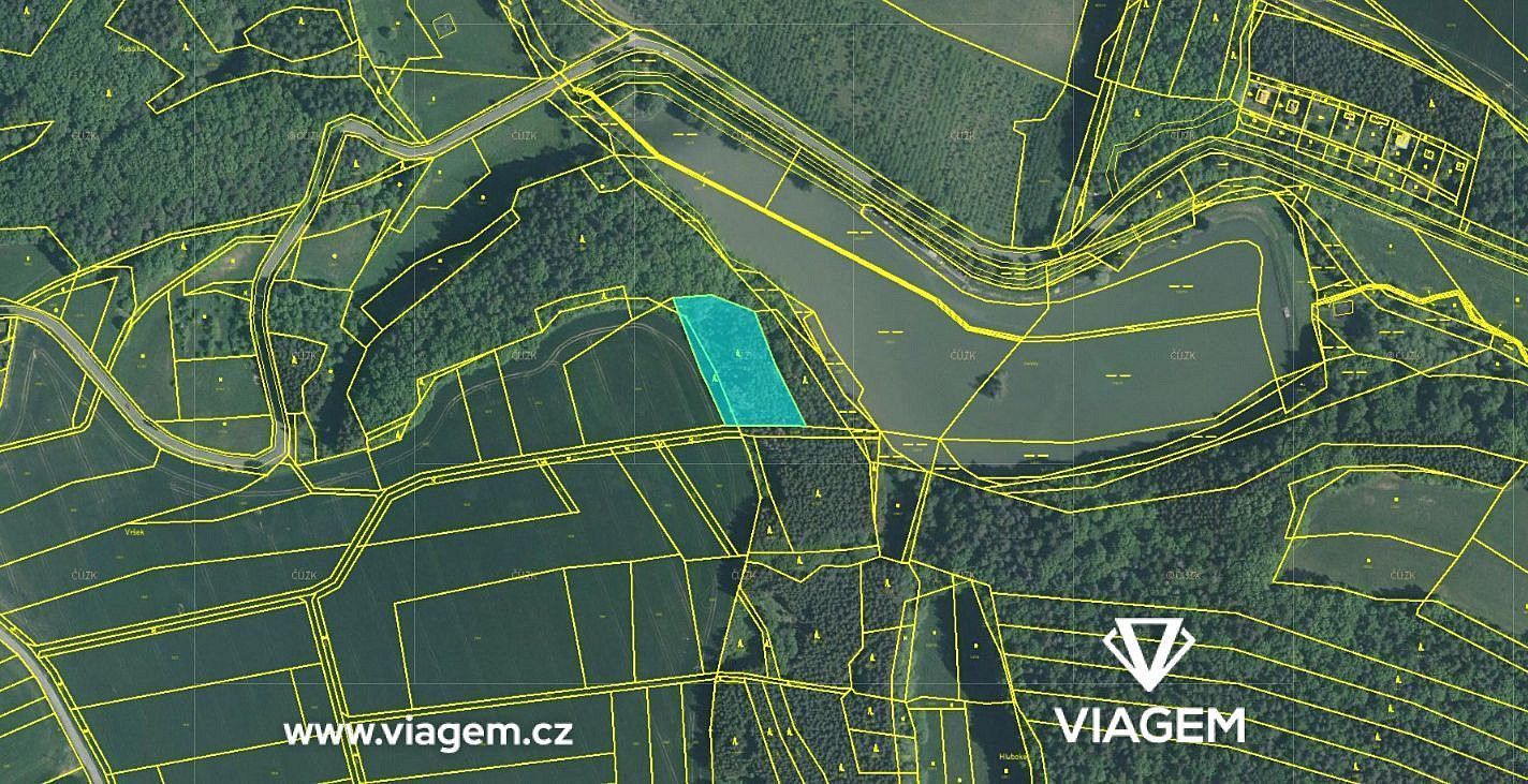 Prodej lesa 4 164 m² – fotografie 2