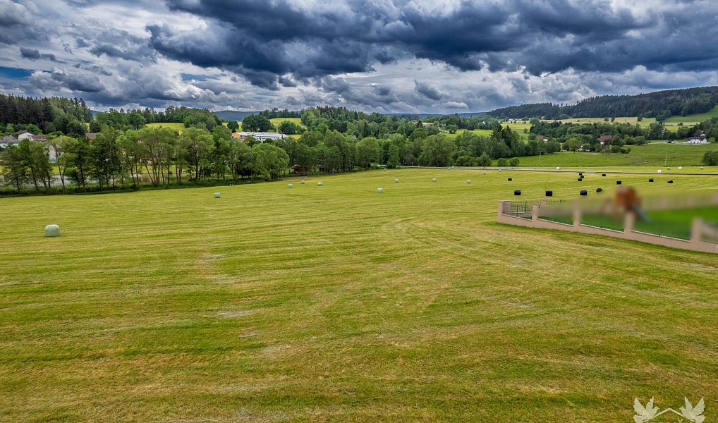 Prodej stavebního pozemku 7 310 m², Stachy – náhled fotky 3