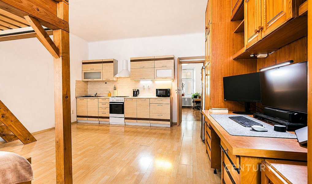 Prodej bytu 1+1 45 m², Brno – náhled fotky 6