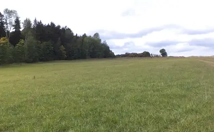 Prodej pole 5 912 m², Tachov