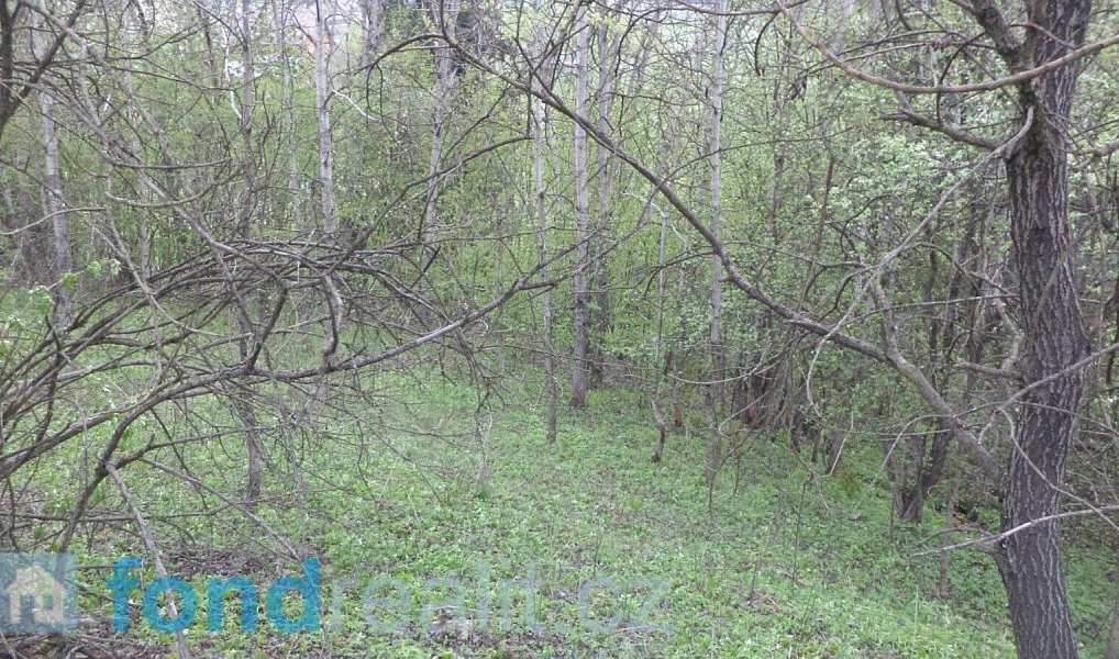 Prodej pozemku 8 296 m², Mosty u Jablunkova – náhled fotky 10