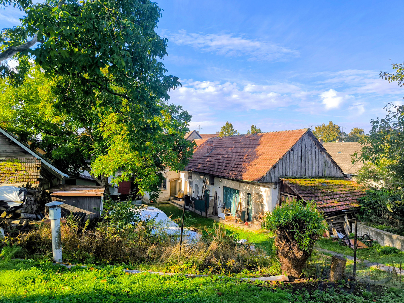 Prodej domu 114 m² s pozemkem 2 595 m² - Widok 3