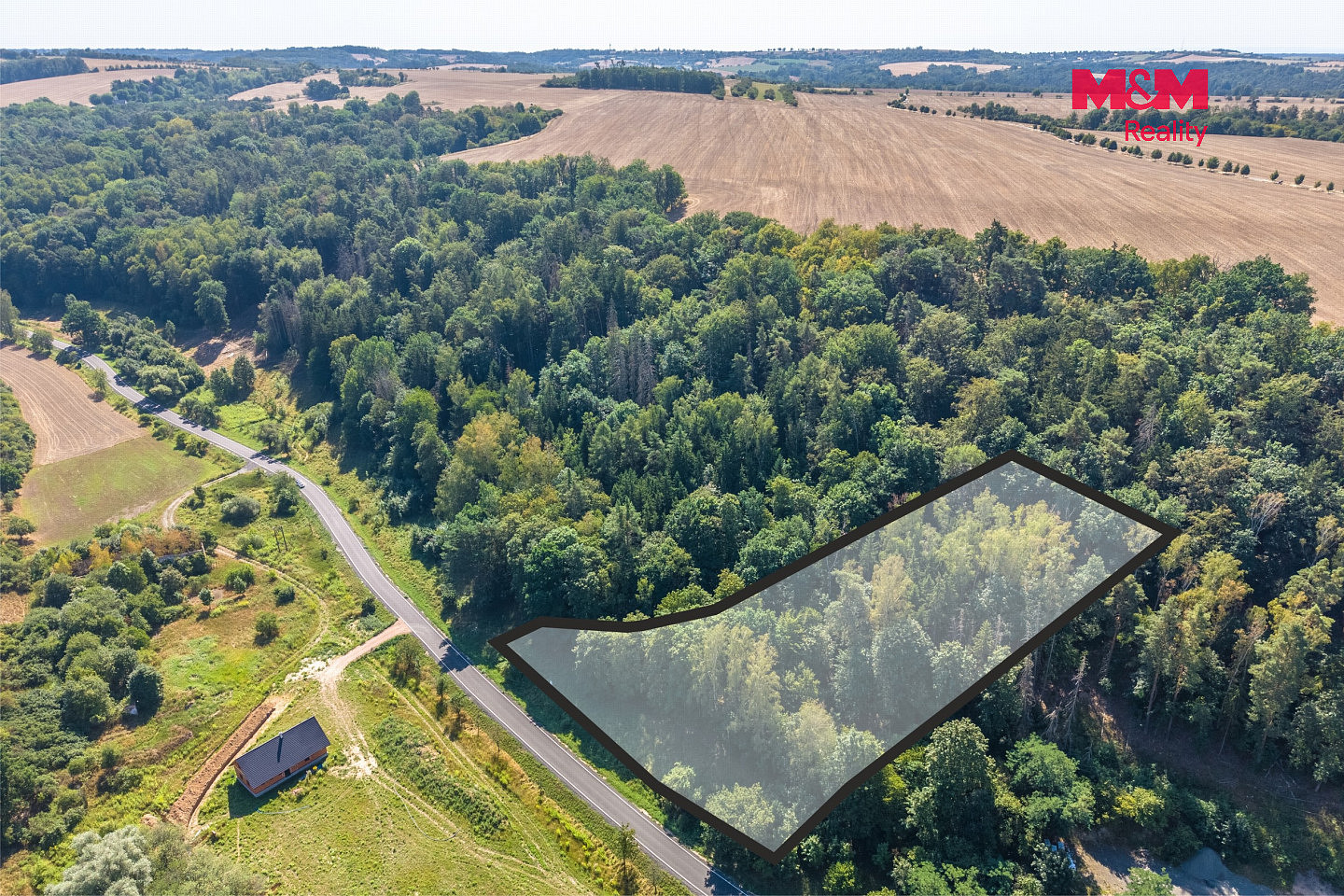 Prodej lesa 5 004 m²