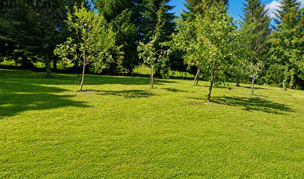 Prodej domu 125 m² s pozemkem 3 126 m², Vrchlabí – náhled fotky 3