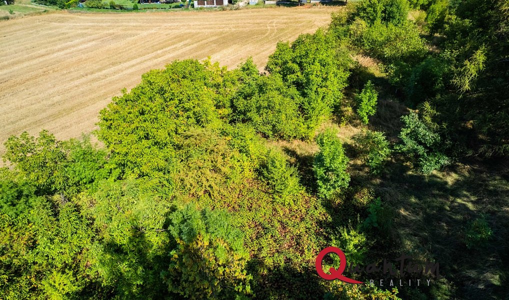 Prodej stavebního pozemku 16 339 m², Brandýsek – náhled fotky 42