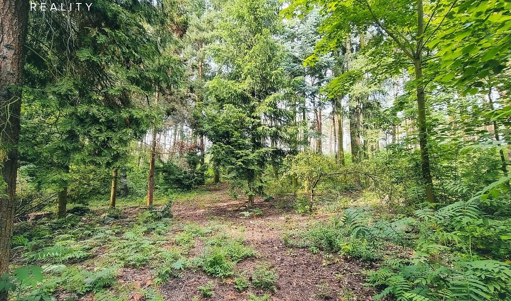 Prodej stavebního pozemku 850 m², Plzeň – náhled fotky 7