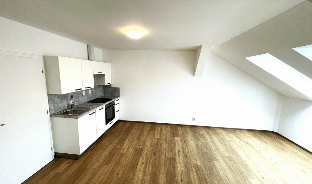 Pronájem bytu 2+kk 48 m², Plzeň – náhled fotky 5