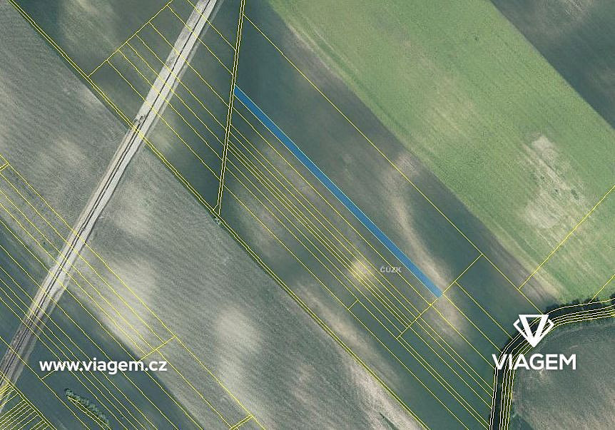 Prodej pole 2 773 m² – fotografie 3