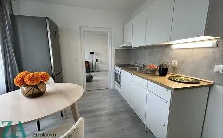Pronájem bytu 2+kk 37 m², Purkyňova, Ústí nad Labem - Střekov
