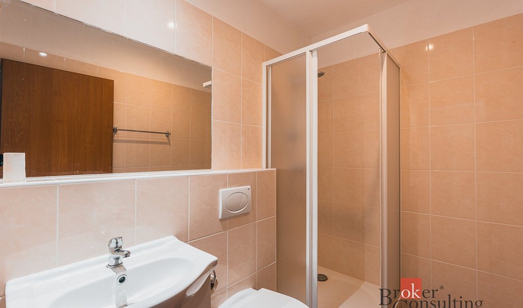 Prodej komerčního objektu (jiného typu) 400 m², Karlovy Vary – náhled fotky 30