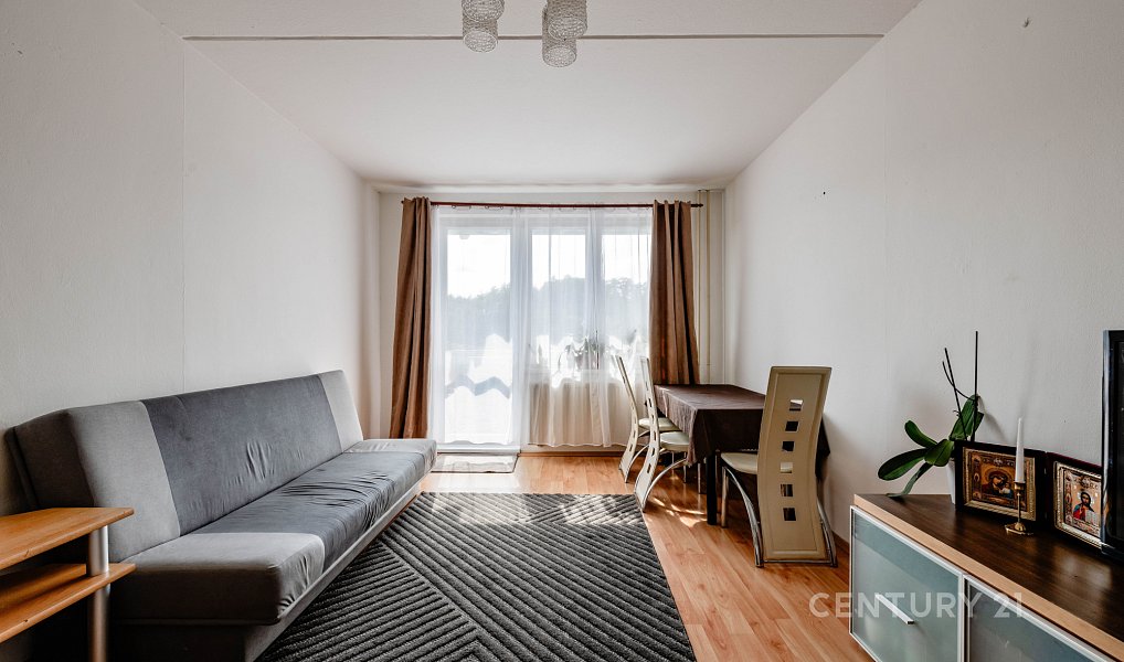 Prodej bytu 3+1 78 m², Tábor – náhled fotky 4