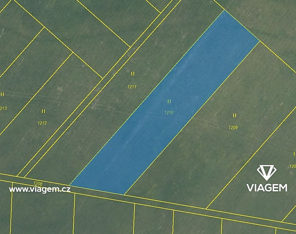 Prodej pole 2 294 m² – fotografie 3