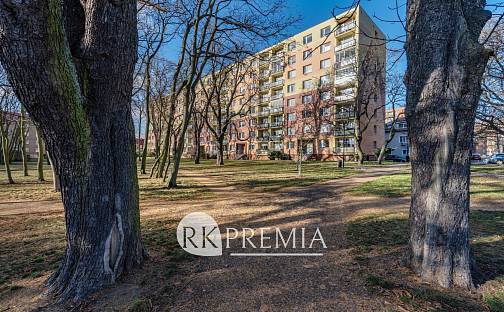 Pronájem bytu 4+1 77 m², U Zámeckého parku, Litvínov - Horní Litvínov, okres Most