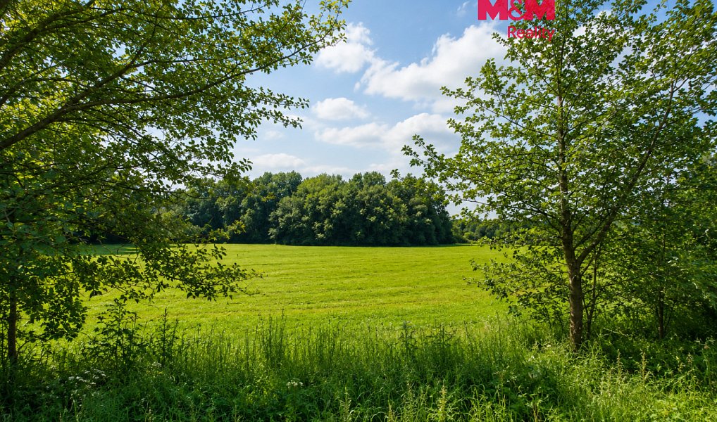 Prodej louky, 4863 m², Žemličkova Lhota - Příbram, Petrovice